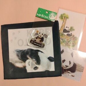 タンタン　王子動物園　お散歩タンタン　タオル　ポストカード　28歳お誕生日アクリルスタンド　パンダ　Panda　ジャイアントパンダ