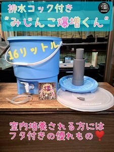 【倭めだか】 “みじんこ爆増くん” タマミジンコ オオミジンコ タイリクミジンコ 培養 増殖 装置 メダカ らんちゅう 熱帯魚等の餌に