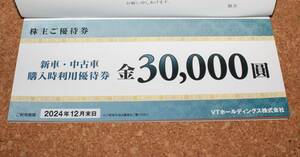 VTホールディングス 株主優待 購入時 30000円 優待券 2024年12月末日まで 送料無料
