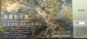 遠藤彰子展　生生流転　チケット1枚　札幌芸術の森美術館