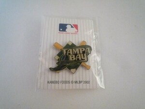 TAMPABAY メジャーリーグ　野球　ピンバッチピンバッジMLBP2002