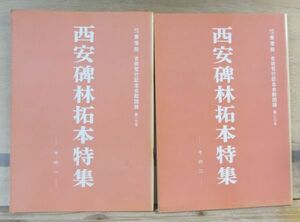 吉田苞竹記念会館図録 19,20号「西安碑林拓本特集　その一・二」 2冊