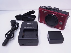パナソニック Panasonic ミラーレスカメラ DMC-GF1