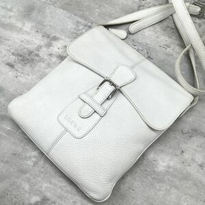 1円〜【超希少】ロエベ LOEWE ショルダーバッグ サコッシュ ボディ 斜め掛け メンズ ビジネス レザー 本革 フラップ ホワイト 白