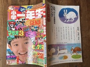 中古【即決】小学一年生 89年 1月号 光GENJI マリオ3 ミニ四駆 ビックリマン シルバニアファミリー すきっぷなみちゃん ときめいて！じゅん