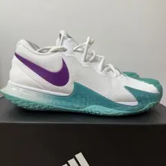 NIKE court air zoom vapor cage 4