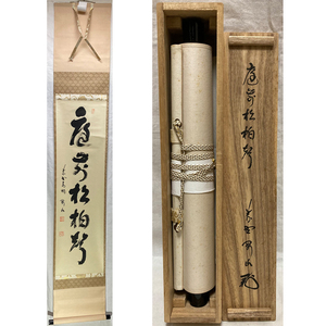 01678 前大徳寺 松長剛山 作 「庭前松柏聲」掛軸（共箱）茶道具（茶掛/紫野）