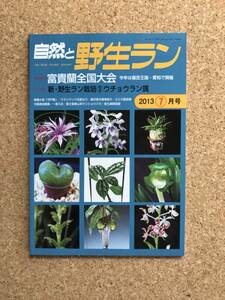 自然と野生ラン 2013年7月号　富貴蘭 ウチョウラン ウラシマソウ ※ 園芸JAPAN