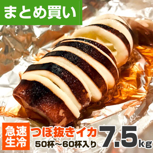 生冷 つぼぬきいか 7.5kg 50～60杯 いか イカ ツボ抜き 仕入れ イカ焼き つぼぬき お祭り 水産仕入 業務用 squid 屋台 行楽 イベント