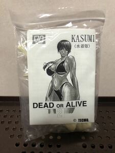 5800 未組立 未開封 オーバーダード DEAD OR ALIVE２かすみ 水着 ガレージキット レジンキャスト レジンキット フィギュア KASUMI 1/8