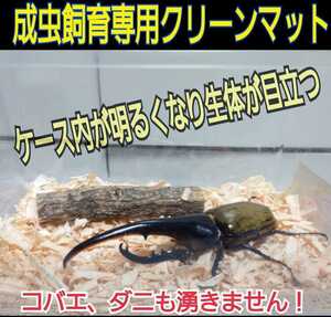 送料無料☆カブトムシ、クワガタの成虫飼育専用☆針葉樹クリーンマット☆ケース内が明るくなり生体が目立つ！ダニ、コバエも湧かなくなる！