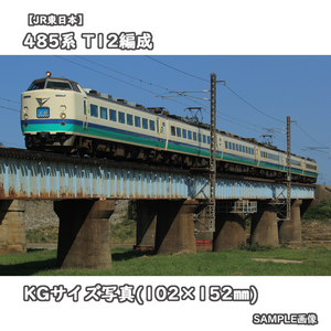 ◎KG写真【JR東日本】485系電車 T12編成 ■上沼垂色 ■北越 □撮影:北陸本線 2013/9/18［KG0815］