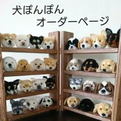 犬ぽんぽん オーダーページ