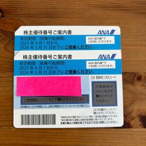 ANA 株主優待券　2024.5.31　全日空　ペア　番号通知　即日対応可能　最短30分以内