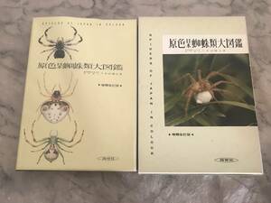 H　原色日本蜘蛛類大図鑑　増補改訂版　八木沼健夫　保育社