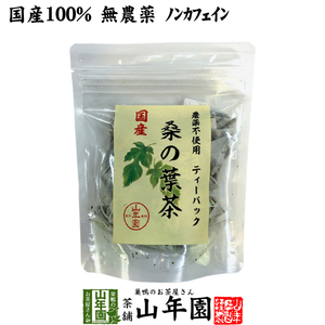 健康茶 国産100% 桑の葉茶 ティーパック 1.5g×20パック 無農薬 ノンカフェイン 送料無料