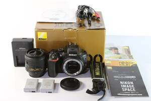 美品 ニコン Nikon D5600 + AF-S DX 18-55mm F3.5-5.6G II レンズキット 動作確認済 送料無料