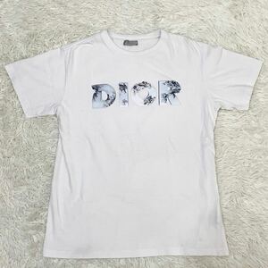 DIOR HOMME【美品】ダニエル アーシャム ロゴプリント Tシャツ 白 M位 ディオールオム コラボ 限定 20SS 希少