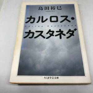 カルロス・カスタネダ (ちくま学芸文庫 シ 14-1) 文庫 2002/2/1