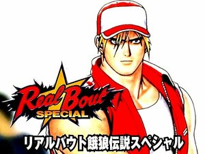 ◇ NEOGEO ・ MVS ・ リアルバウト餓狼伝説スペシャル REALBOUT SPECIAL ・SNKメーカー正規インスト・ディップ書・未使用美品