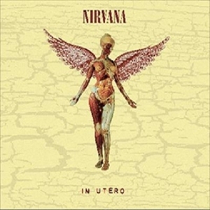 【新品/新宿ALTA】Nirvana/In Utero (30th Anniversary)(アナログレコード+10インチアナログレコード)(5517858)