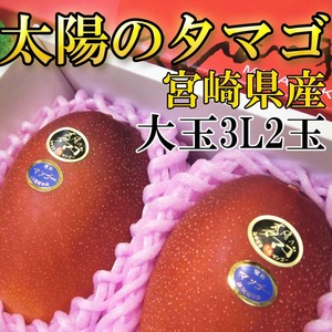 【Good】宮崎産マンゴー『太陽のタマゴ』 大玉3L2玉入り ご予約