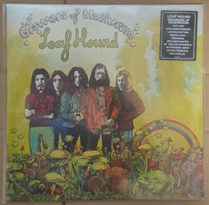 新品未開封 LEAF HOUND/GROWERS OF MUSHROOM/リーフハウンド 50TH ANNIVERSARY EDITION GREEN COLOR 180g VINYL LP BLACK CAT BONES DECCA