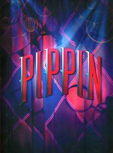 PIPPIN パンフレット★城田優 クリスタルケイ 今井清隆 霧矢大夢 宮澤エマ 岡田亮輔 中尾ミエ 前田美波里★舞台 ピピン パンフ aoaoya