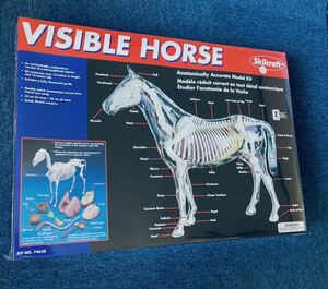 ビジブルホース 馬 プラモデル 未開封 シュリンク付き VISIBLE HORSE Skilcraft 骨格 模型