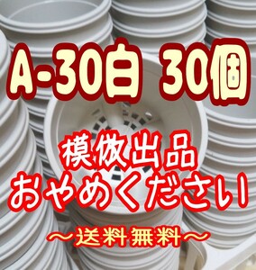 ◆送料無料◆プラ鉢【A-30】30個 スリット鉢 丸 プレステラ 多肉植物