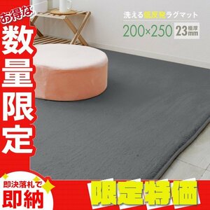 【限定セール】ラグ カーペット ラグマット Lサイズ 200x250cm 極厚23mm 3.2畳 床暖房 抗菌 防ダニ 低反発 絨毯 リビング マット 灰