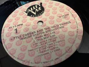 12”★Little Caesar And The Wild Things / Immune System Breakdown / Freestyle / エレクトロ！