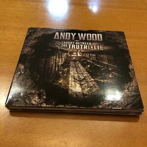 Andy Wood Caught Between The Trush And A Lie アンディ・ウッド 超絶ギタリスト 2CD