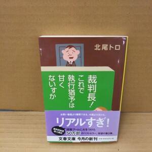 裁判長！これで執行猶予は甘くないすか （文春文庫　き２６－２） 北尾トロ／著