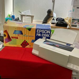【EPSON インクジェットプリンター 電気機器】ジャンク品 エプソン PM-2200C【倉庫】0313