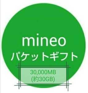 【迅速対応】mineo（マイネオ）パケットギフト 30000MB(約30GB)