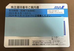 ANA株主優待券１枚（有効期限2024年5月31日）