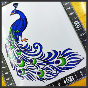 孔雀 ステッカー 15×12 (cm) [Peacock03]　　 　 [ ピーコック クジャク 野生 動物 自然 山 アウトドア アート]