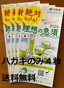 【懸賞応募はがきのみ４枚】伊藤園 絶対もらえる！理想の急須２０２４ 数量：２★送料無料