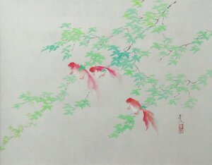 ◆◇掛軸 辰本青花 「金魚」 共箱 二尺横 現代作家新作掛軸 hanging scroll◇◆盛夏 普段掛け JY1010