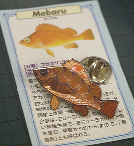 ◆ピンズ 磯釣魚 メバル(春告魚) 七宝メタル 日本製