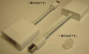 Mini DisplayPort-DVIアダプタ。