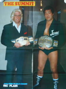 AWA世界ヘビー級チャンピオン　ジャンボ鶴田&NWA世界ヘビー級チャンピオン　リック・フレアー　ポスター