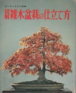 図解　雑木盆栽の仕立て方