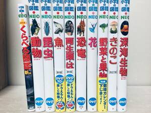 DVD付き 小学館の図鑑NEO くらべる図鑑新版・動物・昆虫・魚・両生類爬虫類・恐竜・花・岩石鉱物化石・野菜と果物・きのこ・深海生物