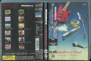 #6125 中古DVD Whiteberry ホワイトベリー Videoberry final ～the all clips of Whiteberry ~ ビデオクリップ全10タイトル ※サンプル盤