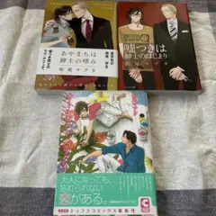 あやまちは紳士の嗜み　その他2冊