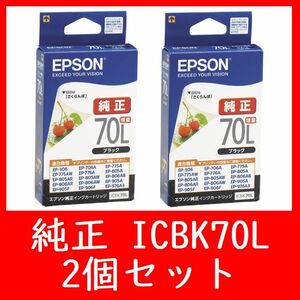 2個セット　エプソン純正　ICBK70L 増量タイプ　推奨使用期限2年以上