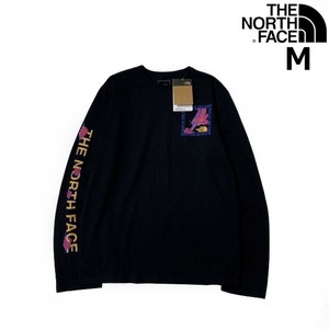 1円～!売切!【正規新品】THE NORTH FACE◆L/S CNY RECYCLED TEE 長袖 Tシャツ ロンT US限定 ボックスロゴ トラ 上質 袖ロゴ(M)黒 180902-20