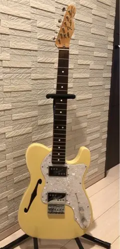 【軽量3.2kg】Telecaster Thinline  オールラッカー